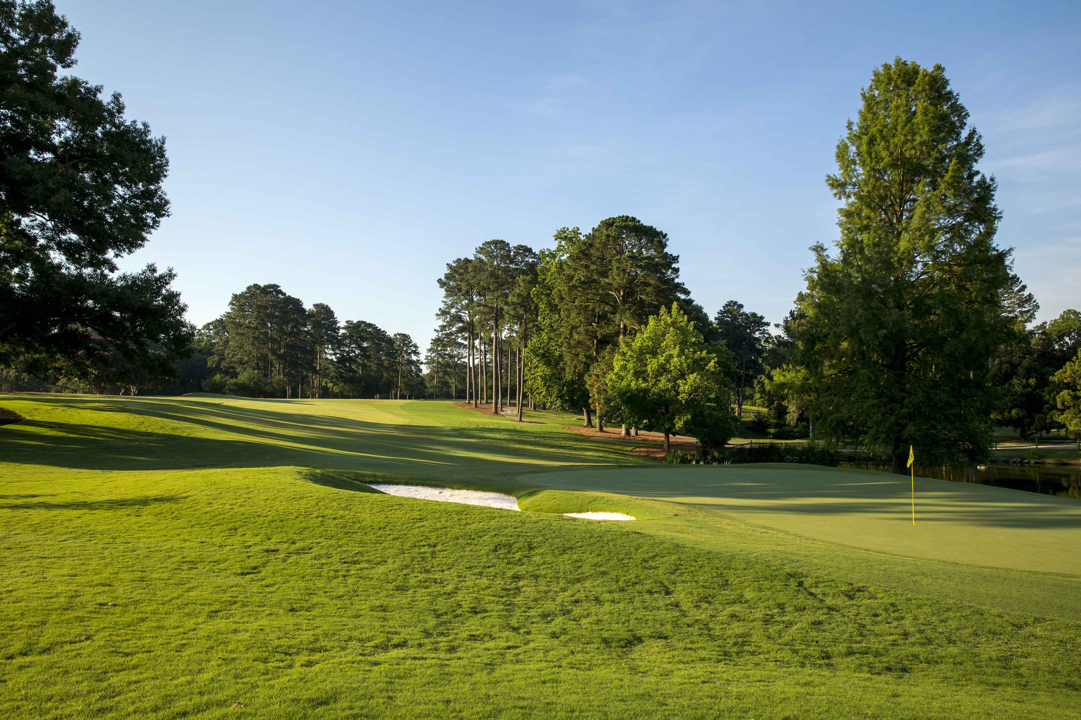 Shot of green on Gold Course at Colonial Williamsburg, VA