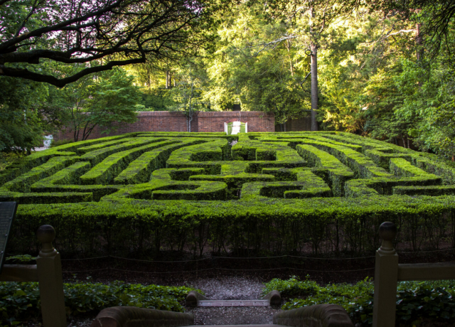 Colonial Williamsburg Hedge Maze