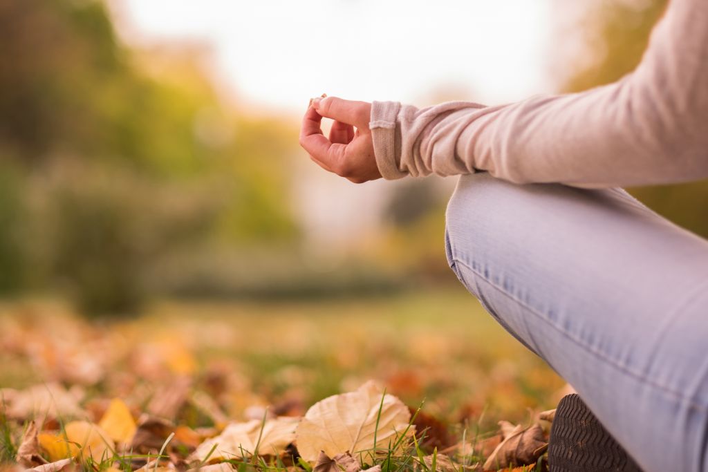 Fall Meditation