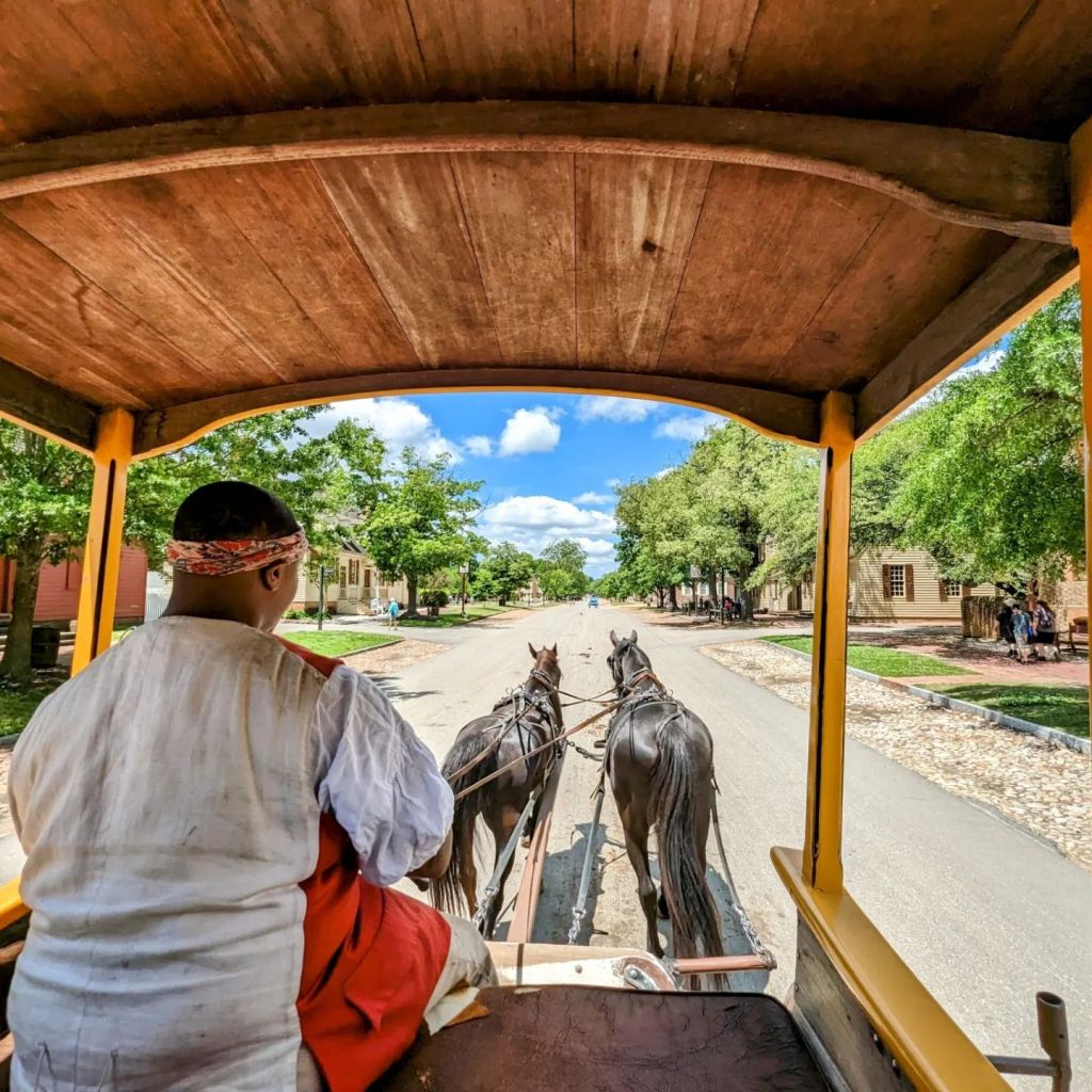 Man in Carriage Ride